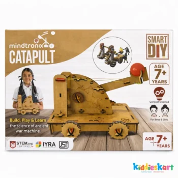 DIY Catapult