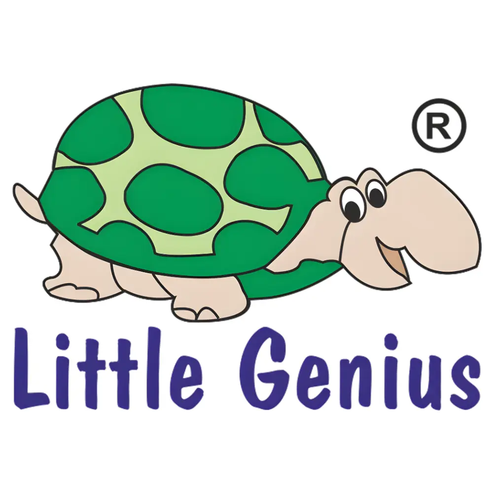 Little Genius Wooden Toys logo