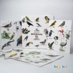 New Blue Mount Bird Puzzle