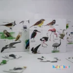 New Blue Mount Bird Puzzle