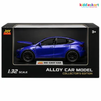 Tesla Model Y DC car